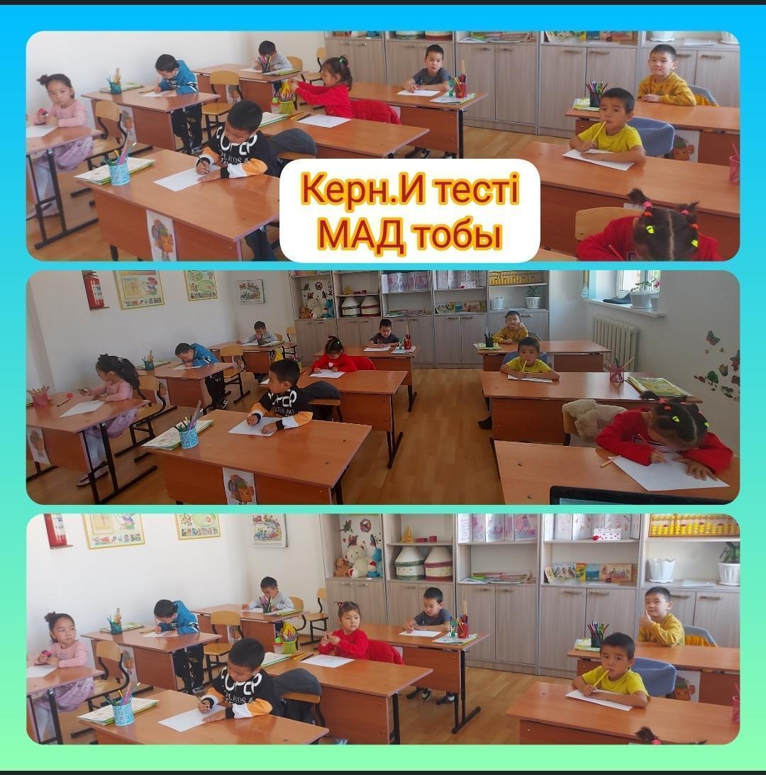 Мектеп алды даярлық тобының оқушыларының мектепке дайындығын анықтауға арналған тест алынды. Мақсаты: жалпы психикасының дамуын анықтау