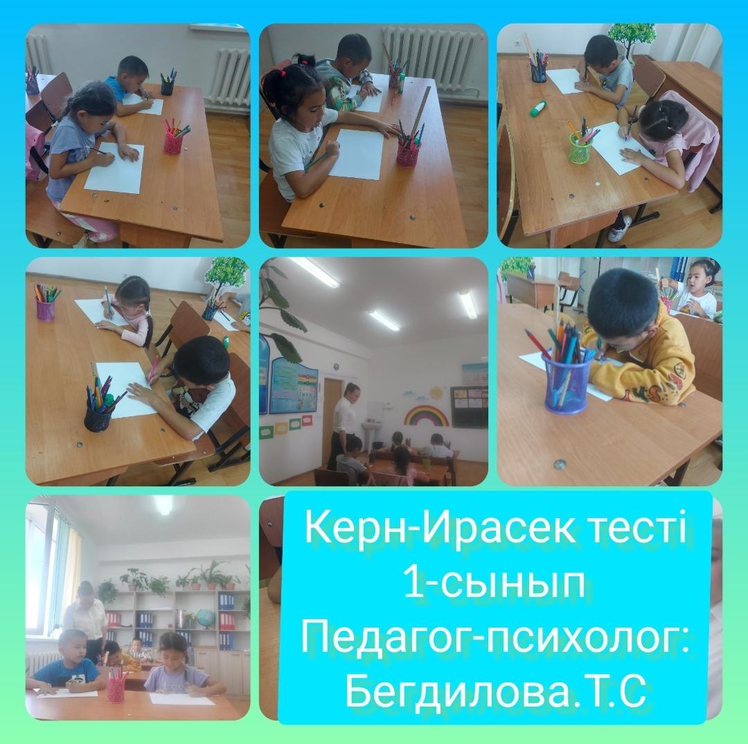 1-сынып оқушыларының мектепке бейімделу деңгейін анықтау тесті