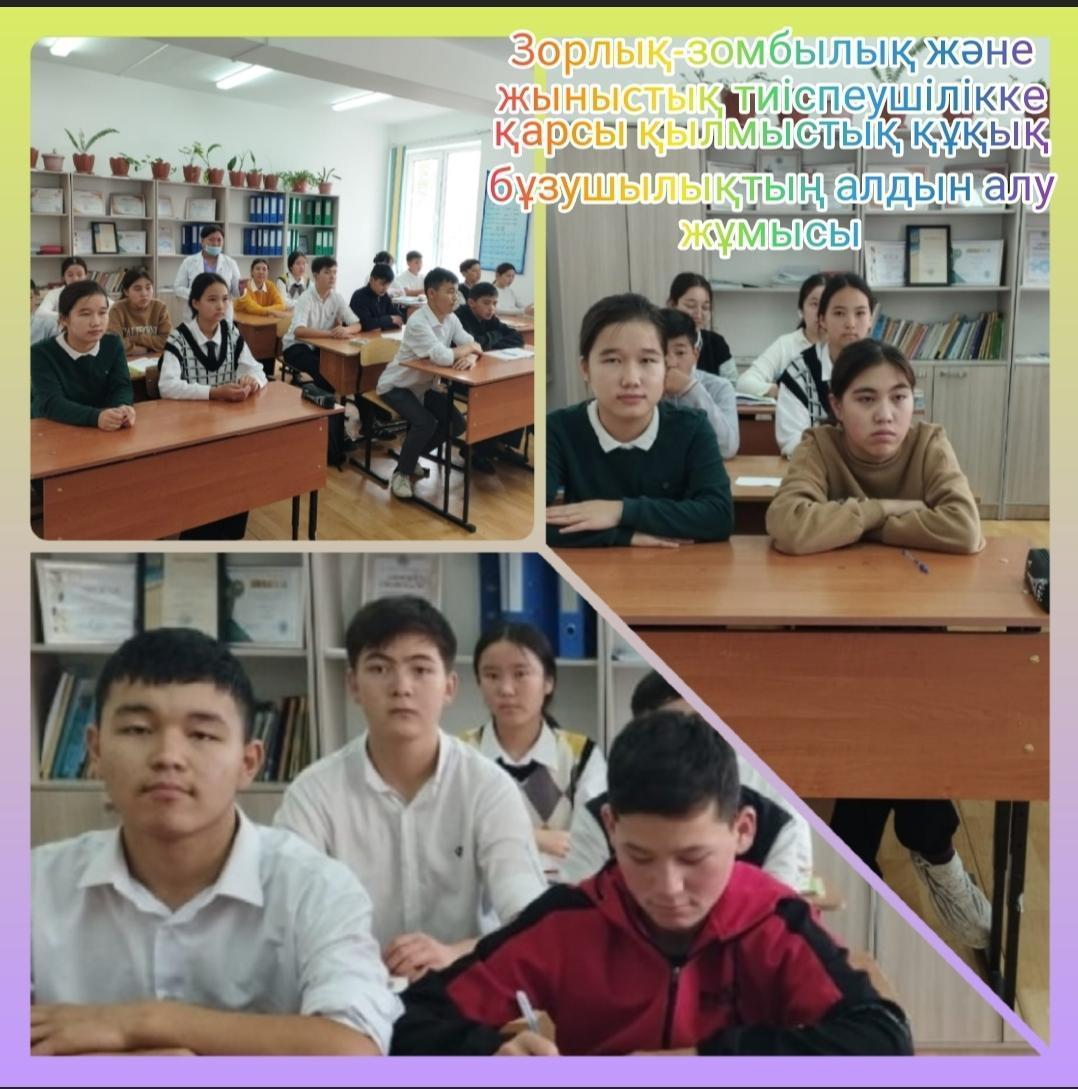 "Зорлық-зомбылық және жыныстық тиіспеушілікке қарсы қылмыстық құқық-бұзушылықтың алдын алу" жұмысы. Баяндама